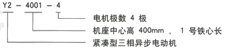 YR系列(H355-1000)高压Y4507-6/560KW三相异步电机西安西玛电机型号说明